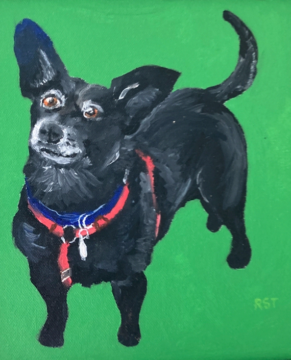 Radar