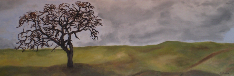 Lone Oak
