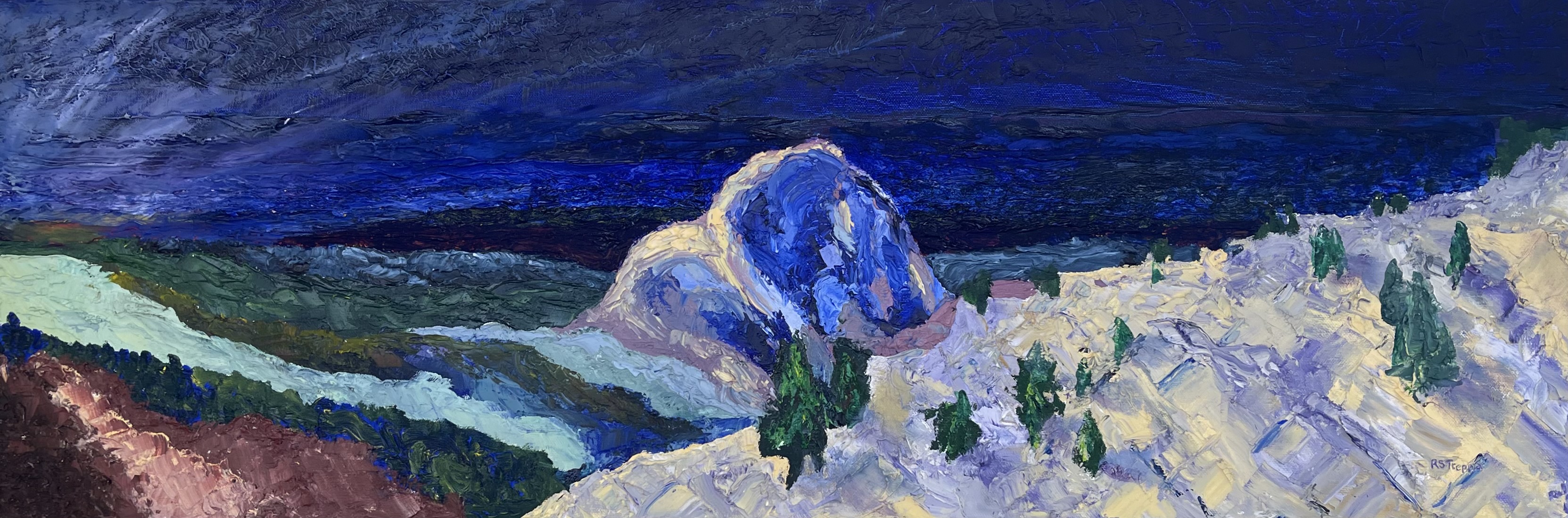 MOlmsted Point