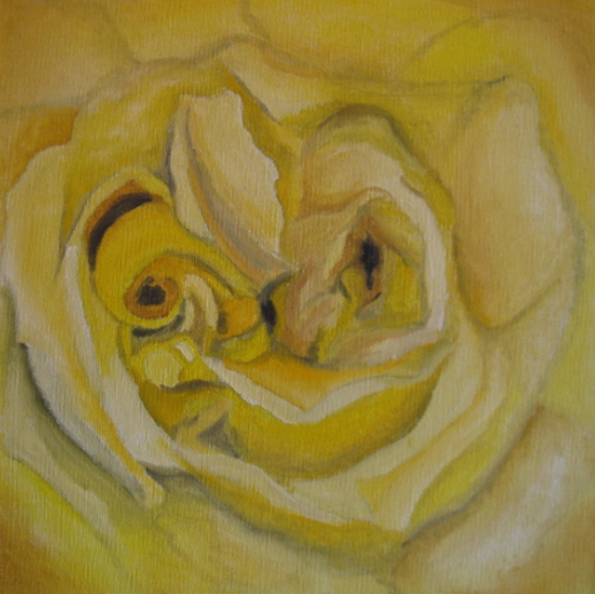Yellow Rose