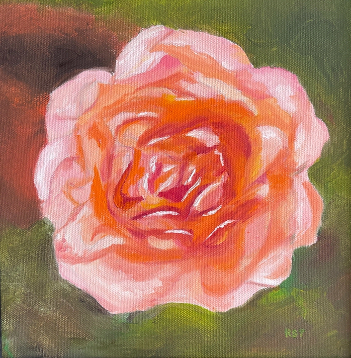 Peach Rose