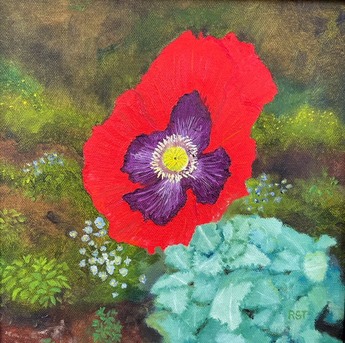 Poppy