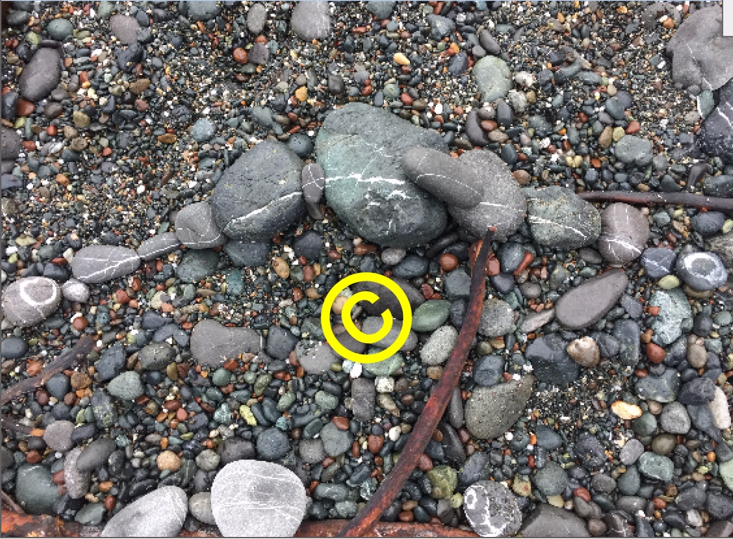 Pebbles aligned on Beach